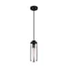 Nuvo Fixure, Pendant, 1-Light, Incandescent, 60W, 120V, T9, Medium Base, Height: 13.25 60/7160